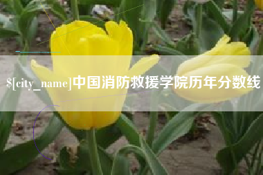迁安市中国消防救援学院历年分数线