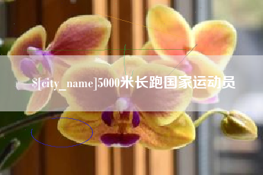 迁安市5000米长跑国家运动员
