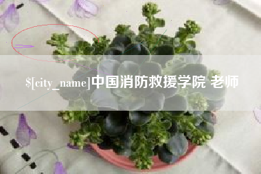 迁安市中国消防救援学院 老师