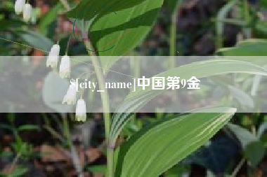 迁安市中国第9金