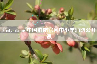 迁安市中国消防官网中小学消防公开课
