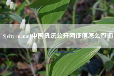 迁安市中国执法公开网征信怎么查询