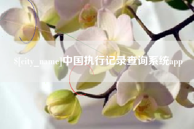 迁安市中国执行记录查询系统app