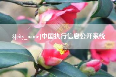 迁安市中国执行信息公开系统