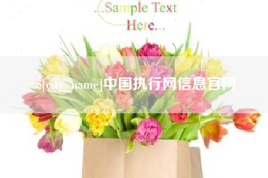 迁安市中国执行网信息官网