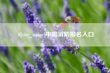 迁安市中国消防报名入口