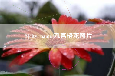 迁安市九宫格龙图片