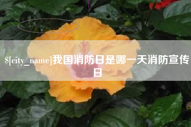 迁安市我国消防日是哪一天消防宣传日