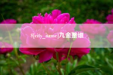 迁安市九金是谁