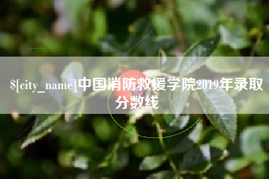 迁安市中国消防救援学院2019年录取分数线