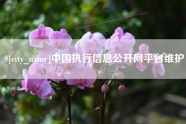 迁安市中国执行信息公开网平台维护