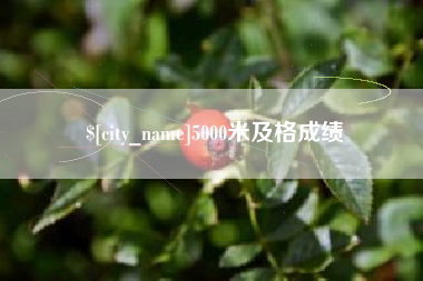 迁安市5000米及格成绩