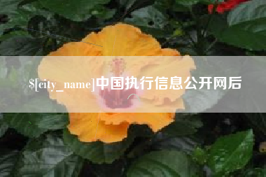 迁安市中国执行信息公开网后