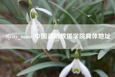 迁安市中国消防救援学院具体地址