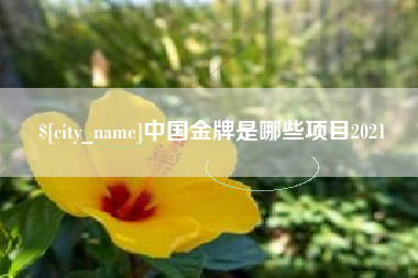 迁安市中国金牌是哪些项目2021