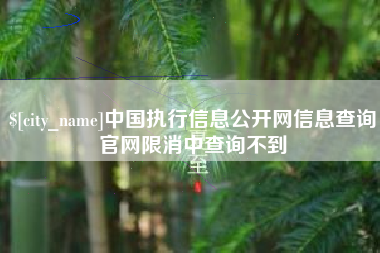 迁安市中国执行信息公开网信息查询官网限消中查询不到