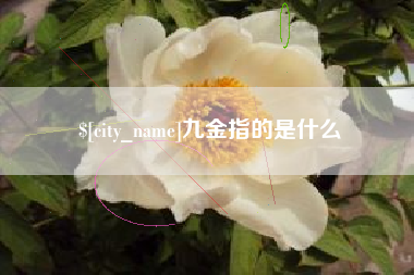 迁安市九金指的是什么