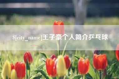 迁安市王子豪个人简介乒乓球