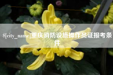 迁安市重庆消防设施操作员证报考条件