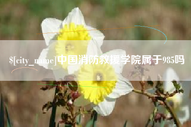 迁安市中国消防救援学院属于985吗