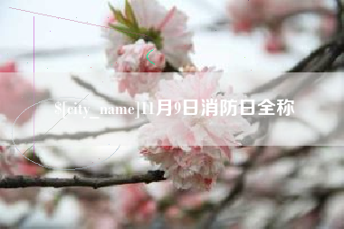 迁安市11月9日消防日全称