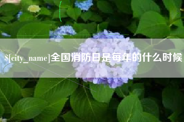 迁安市全国消防日是每年的什么时候