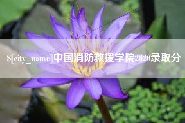迁安市中国消防救援学院2020录取分