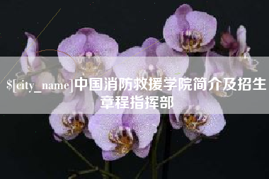 迁安市中国消防救援学院简介及招生章程指挥部