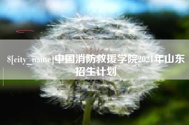 迁安市中国消防救援学院2021年山东招生计划