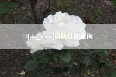 迁安市消防证的查询