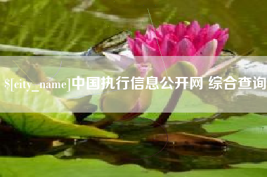 迁安市中国执行信息公开网 综合查询