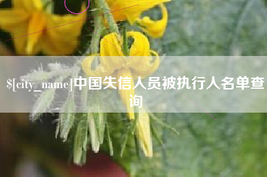 迁安市中国失信人员被执行人名单查询
