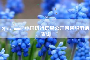 迁安市中国执行信息公开网客服电话查询