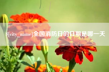 迁安市全国消防日的日期是哪一天