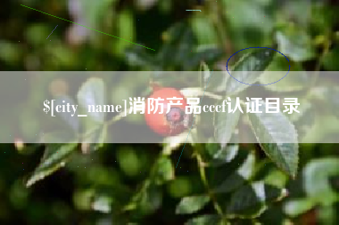迁安市消防产品cccf认证目录