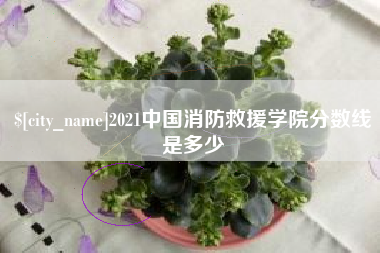 迁安市2021中国消防救援学院分数线是多少