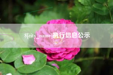迁安市执行信息公示