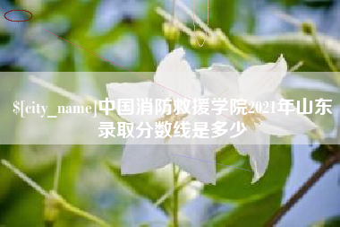 迁安市中国消防救援学院2021年山东录取分数线是多少