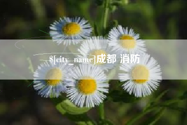 迁安市成都 消防
