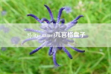 迁安市九宫格盘子