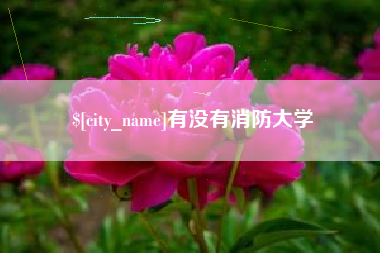 迁安市有没有消防大学