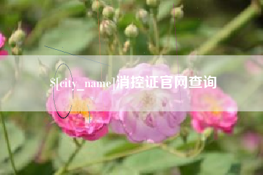 迁安市消控证官网查询