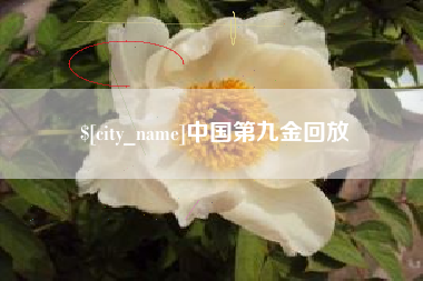 迁安市中国第九金回放