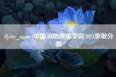 迁安市中国消防救援学院2021录取分数