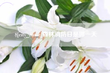 迁安市森林消防日是哪一天
