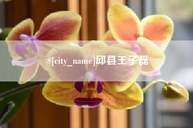 迁安市邱县王子磊