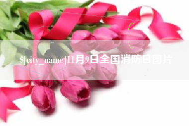 迁安市11月9日全国消防日图片