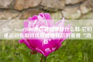 迁安市5000米世界冠军穿什么鞋-它们是运动员取得优异成绩背后的重要“功臣”