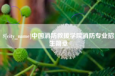 迁安市中国消防救援学院消防专业招生简章
