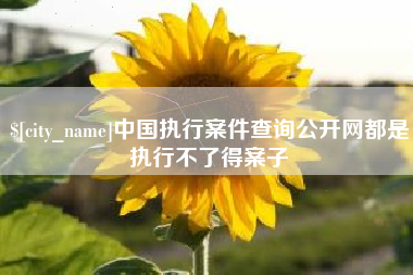 迁安市中国执行案件查询公开网都是执行不了得案子